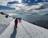IMG-20240208-WA0011