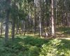 IMG_20250625_092311