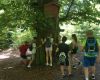 IMG_20250625_102842