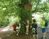 IMG_20250625_102846