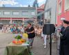 PXL_20250704_060347562