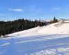 IMG-20260114-WA0012
