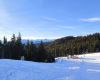 IMG-20260114-WA0016